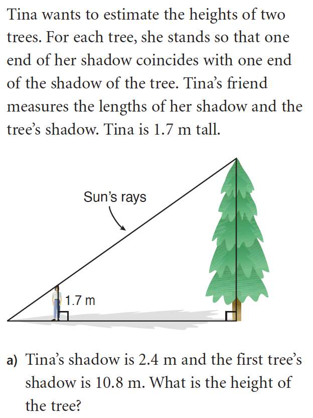 Tina and tree shadow problem